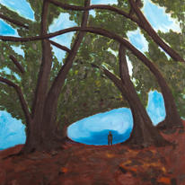 A Walk in the Woods
