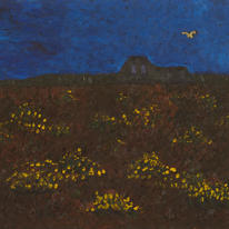 A Buzzard over Grenville Battery.