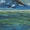 The Lonely Sea and the…