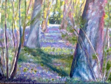 Bluebell Wood