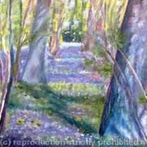 Bluebell Wood