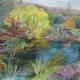 Summer Pond