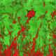 Martian Rainforest Canopy