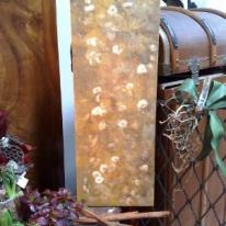 Gypsophila