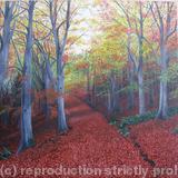 A Walk In The Woods - Acrylic on Canvas