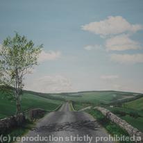 Along An Old Borders Road