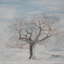 Hollow Tree On Snowy Lauder Hill
