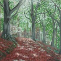 A Wee Walk In The Woods