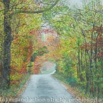 Tunnel of Autumn Trees