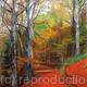 Autumn Colours I Torsonce