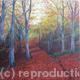 A Walk In The Woods | (sold) | | Acrylic on Canvas A Walk In The Woods