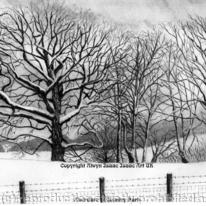 Snowscene Aberdare Country Park