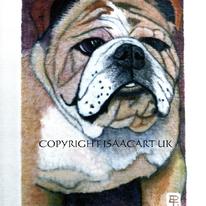JOHNS BULLDOG COPYRIGHT