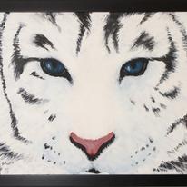 Blue eyed tiger