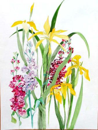 June, irises and flocks
