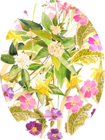 Spring flowers 