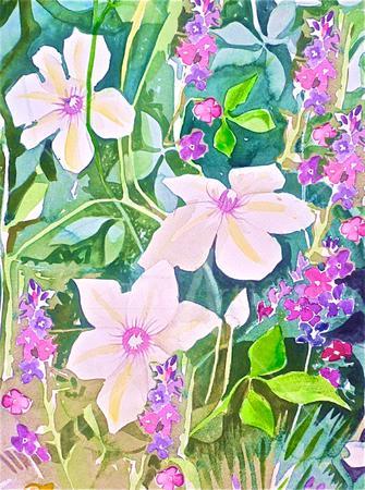 Clematis and wallflower
