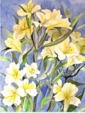 Lillies