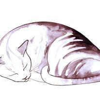 Sleeping cat print 4