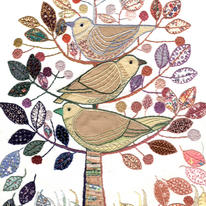 Birdy, birdy, birdy