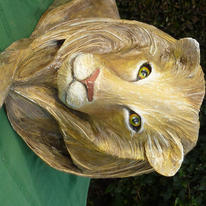Lionaid Lion