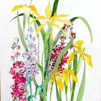 June, irises and flocks