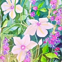 Clematis and wallflower