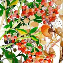 Autumn berries