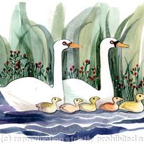 Seven Swans a-Swimming