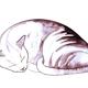 Sleeping cat print 4