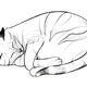 Sleeping cat print 5