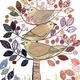 Birdy, birdy, birdy