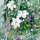 May, Clematis