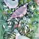 Wood Pidgeon | £75 | 38 x 58cm | Pidgeon Wood Pidgeon
