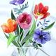 Tulips and Anemones