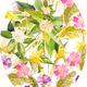 Spring flowers 