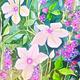 Clematis and wallflower