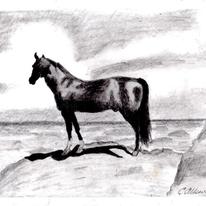 Horses View small