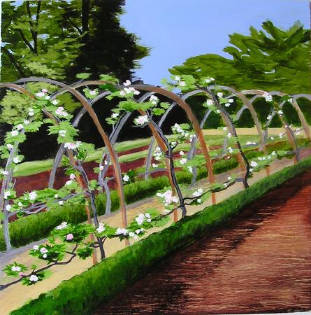 Heligan Apple Arches, Blossom time.