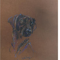ghillie-photo-print-a4-sidelong-look