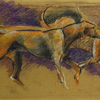 foxhounds09