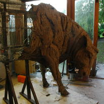 Morpeth bull and Adde 001