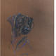 ghillie-photo-print-a4-sidelong-look | | | ghillie-photo-print-a4-sidelong-look