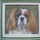King Charles Spaniel | £90 | | Watercolour and watercolour pencils on card King Charles Spaniel