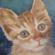 Ginger Kitten