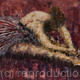 RED BALLERINA | £1000(sold) | 101 x 76cm | ACRYLIC ON BOX CANVAS RED BALLERINA