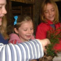 Fun in the Potting Shed - Christmas Workshop