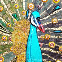 Peacock 1