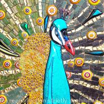 Peacock 1
