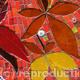 Beautiful Autumn mosaic. | | | Beautiful Autumn mosaic.